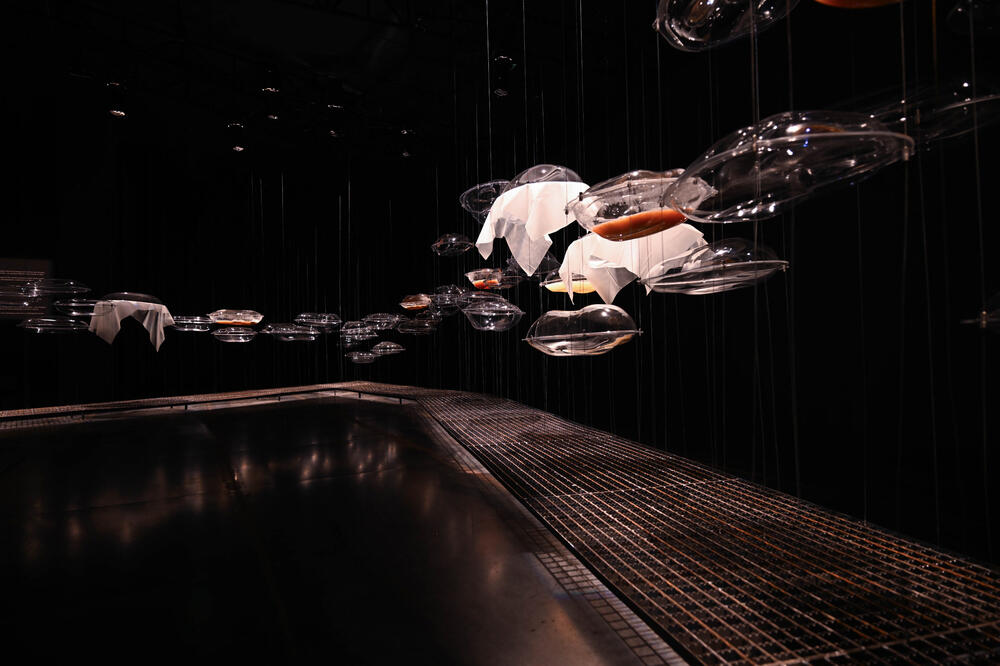 Foto: Stefan Popović