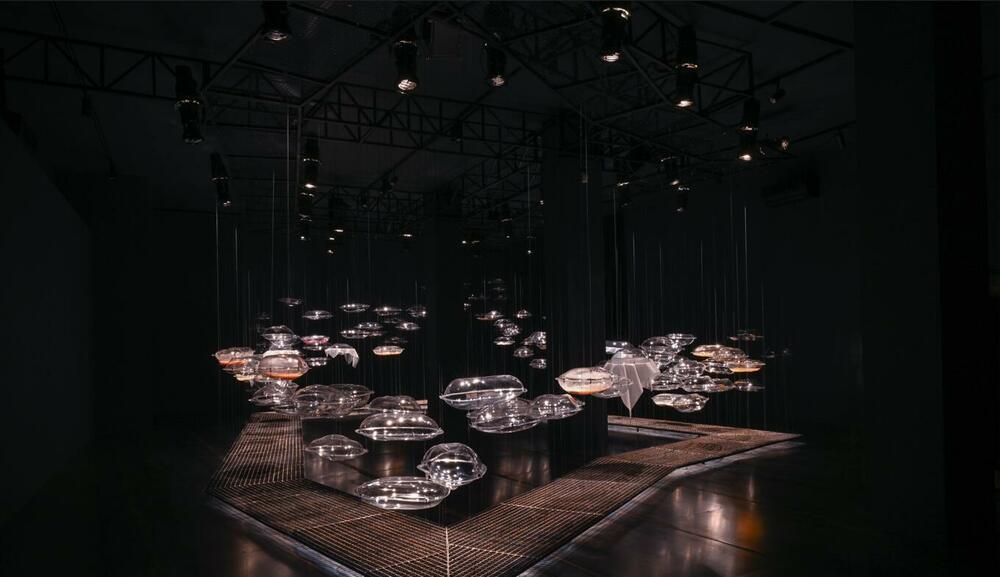 Postavka spremna za Dvorac kralja Nikole u Nikšiću