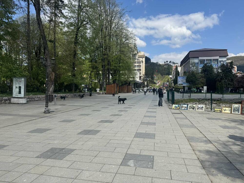 Bijelo Polje dobitnik Evropske diplome za 2026