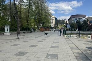 Podgorica, Bijelo Polje, Berane i Petnjica dobitnici Evropske...