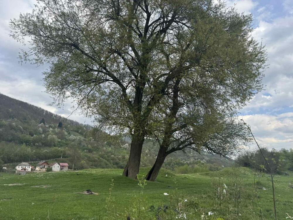 <p>Teško je opisati osjećaj spoja divlje ljepote, zvuka ptica koji se razliježe dolinom uz galop konja, nestvarnog zelenila i "spomenike" ljudskog nemara na svakom koraku</p>