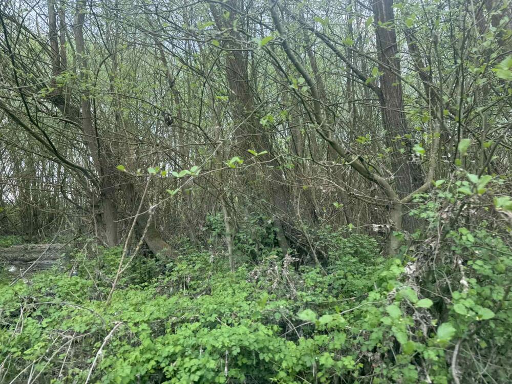 <p>Teško je opisati osjećaj spoja divlje ljepote, zvuka ptica koji se razliježe dolinom uz galop konja, nestvarnog zelenila i "spomenike" ljudskog nemara na svakom koraku</p>