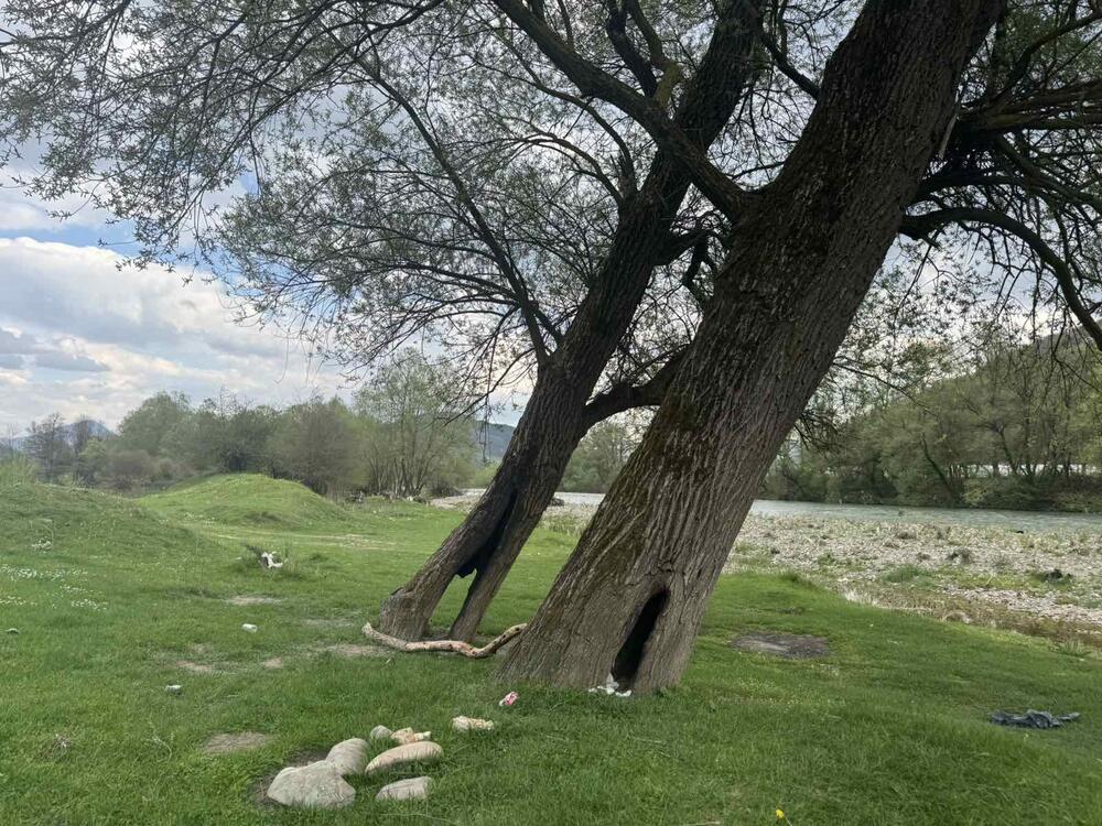 <p>Teško je opisati osjećaj spoja divlje ljepote, zvuka ptica koji se razliježe dolinom uz galop konja, nestvarnog zelenila i "spomenike" ljudskog nemara na svakom koraku</p>