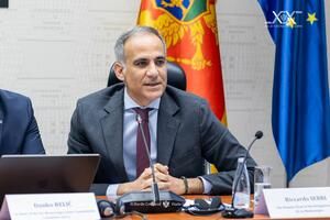 Seri: Istorijska šansa da Crna Gora privede kraju proces...
