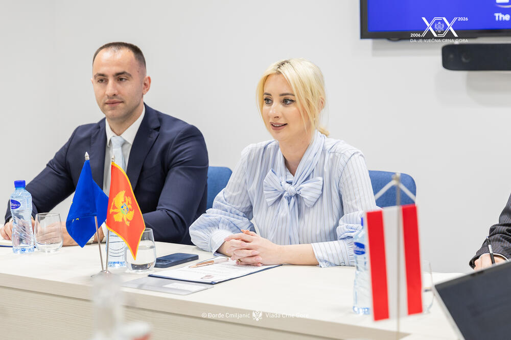 Sastanak ministarke evropskih poslova Maide Gorčević i delegacije Odbora za EU Saveznog vijeća Austrije