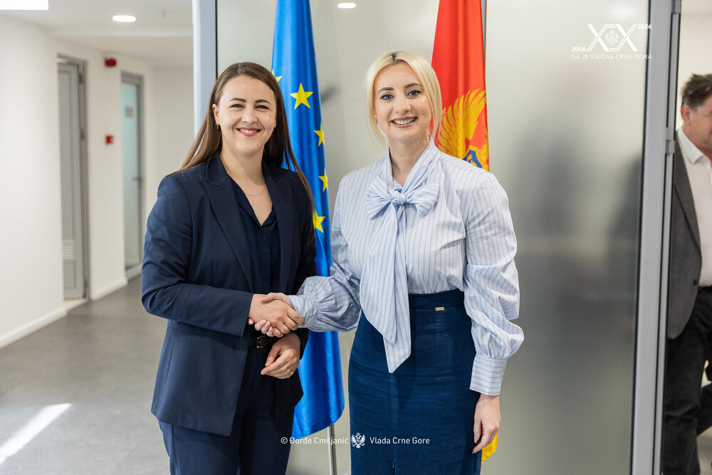 Sastanak ministarke evropskih poslova Maide Gorčević i delegacije Odbora za EU Saveznog vijeća Austrije