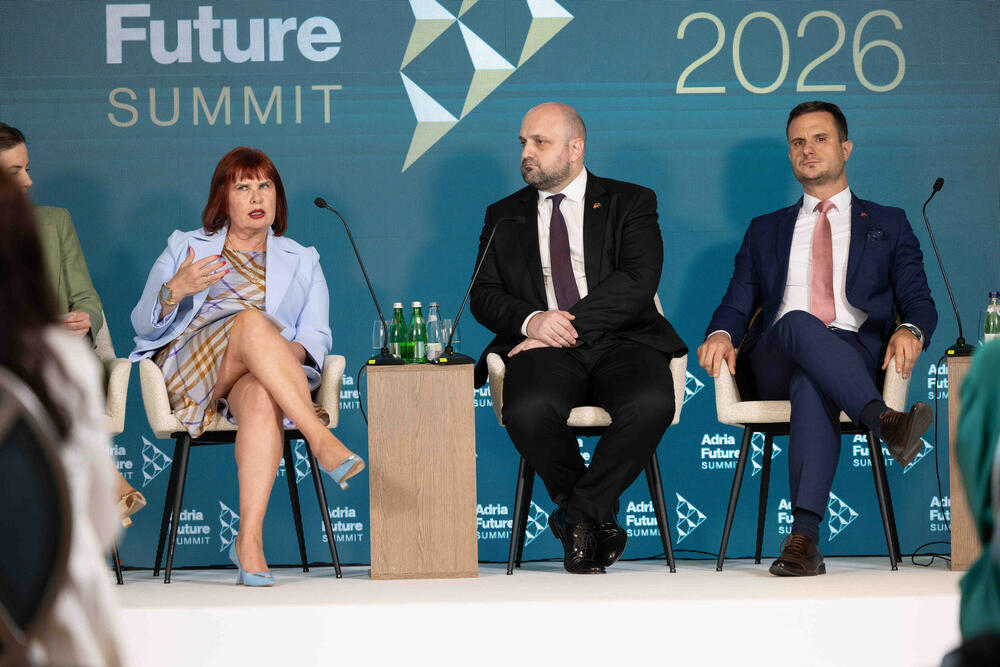 Pavličić govori na panelu