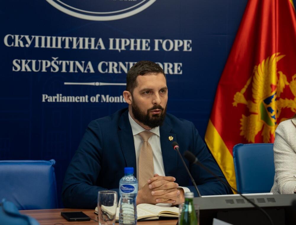 Leković o puštanju Budvanina koji je prekršio zabranu napuštanja...