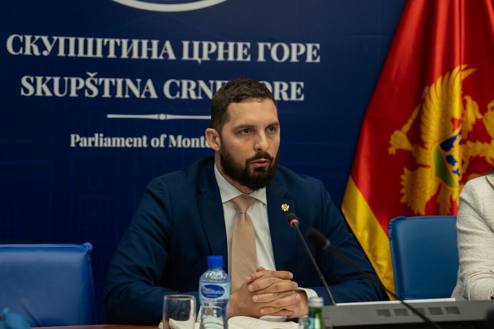 Leković, Foto: Demokratska Crna Gora