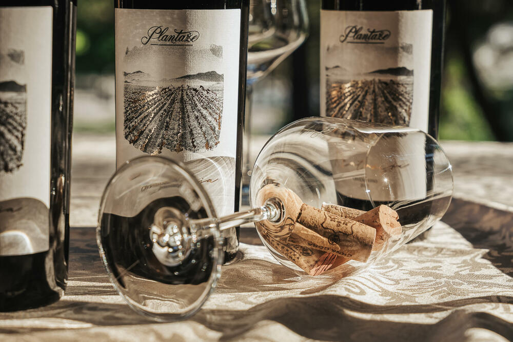 <p>Svečanost je održana u petak u Vili Gorica, pod pokroviteljstvom predsjednika Crne Gore, Jakova Milatovića, u organizaciji Evropskog reda vinskih vitezova &ndash; Legatura Crna Gora</p>