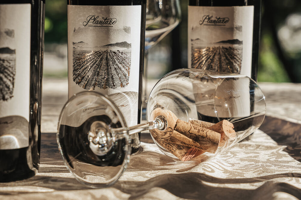 <p>Svečanost je održana u petak u Vili Gorica, pod pokroviteljstvom predsjednika Crne Gore, Jakova Milatovića, u organizaciji Evropskog reda vinskih vitezova &ndash; Legatura Crna Gora</p>