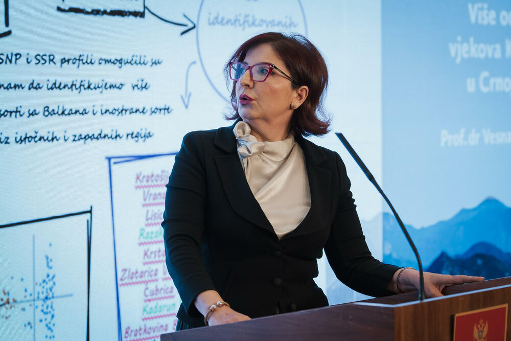 <p>Svečanost je održana u petak u Vili Gorica, pod pokroviteljstvom predsjednika Crne Gore, Jakova Milatovića, u organizaciji Evropskog reda vinskih vitezova &ndash; Legatura Crna Gora</p>