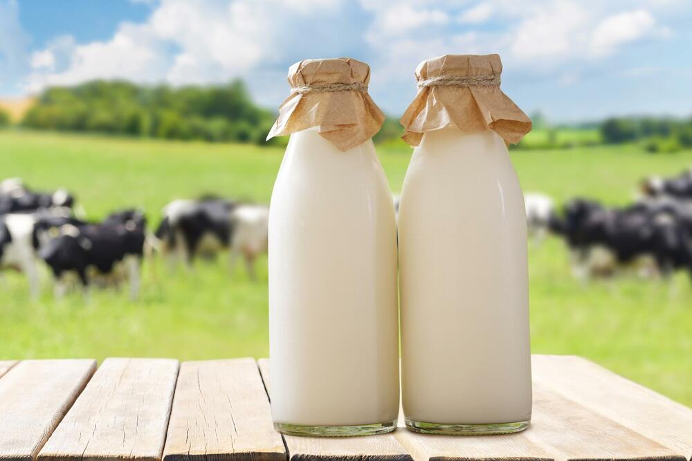 Ilustracija, Foto: Shutterstock