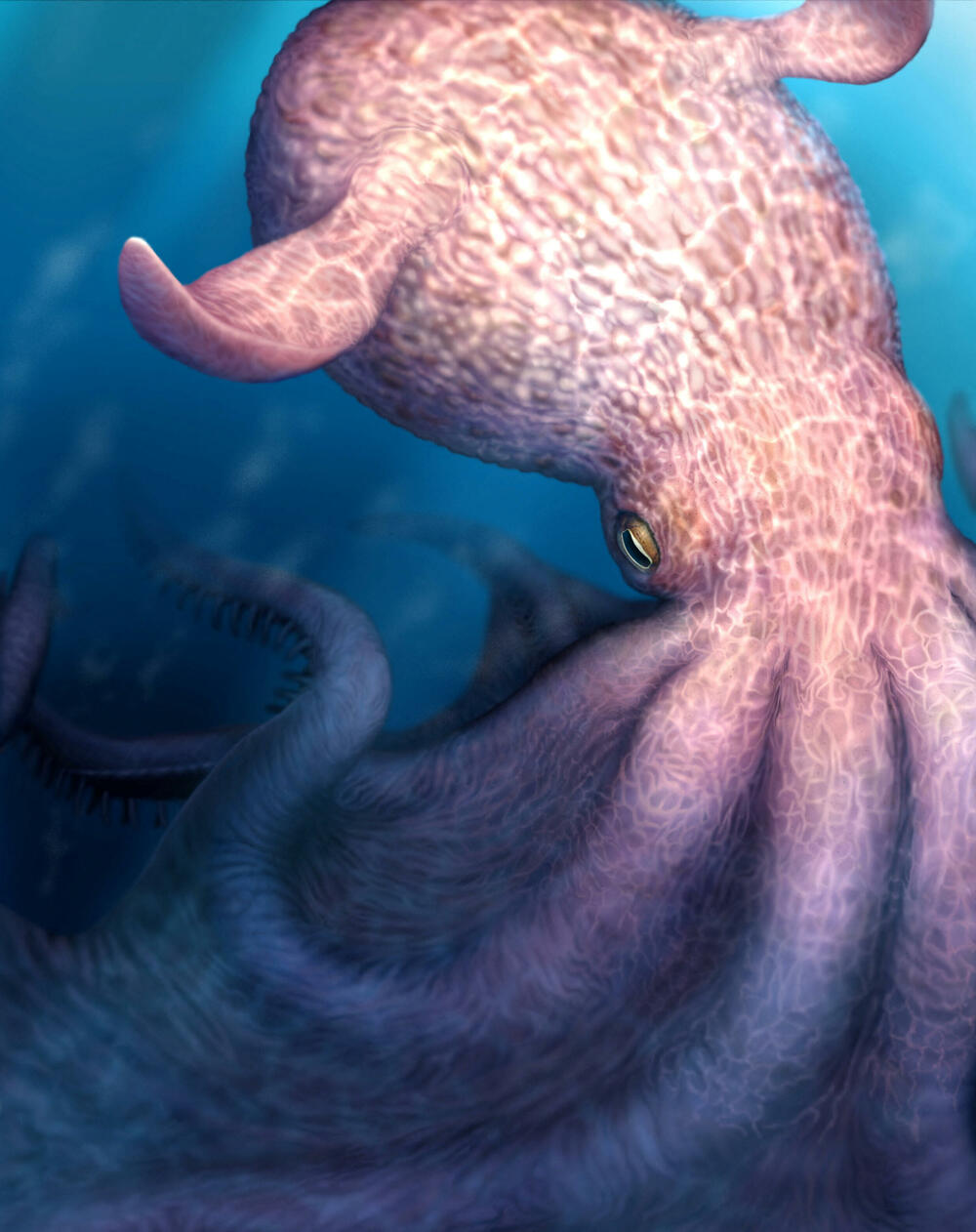 Kredni Kraken