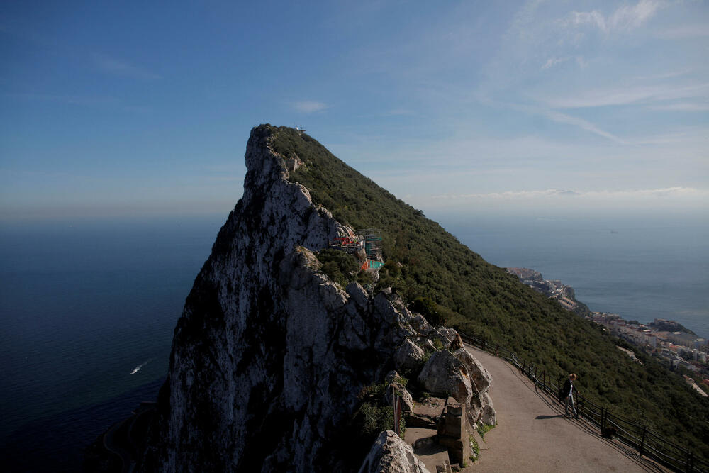 majmuni Gibraltar