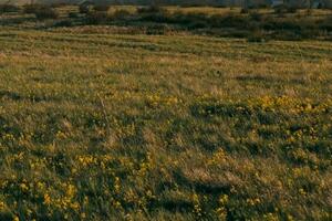 Andrijevica: Osumnjičenom da je prijetio sestri, sestričini i zetu...