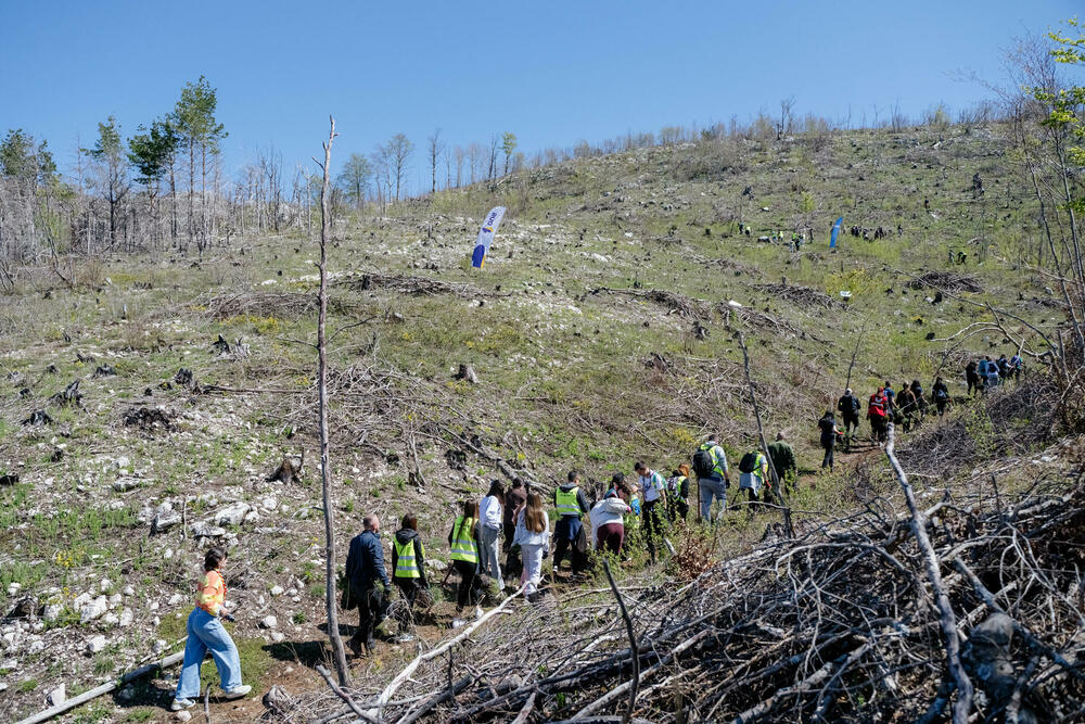 <p>Na planini Vojnik kompanija One nastavila je realizaciju svog cilja da do kraja svoje jubilarne godine, u ime svojih 30 godina- zasadi 30 hiljada stabala. Zajedno sa Savezom izviđača Crne Gore i &ldquo;Borankom&rdquo;, prvi crnogorski telko operator na ovaj način potvrđuje opredijeljenost da inicijativa &ldquo;1 drvo je važno&rdquo; postane najveće korporativno pošumljavanje u zemlji.</p>