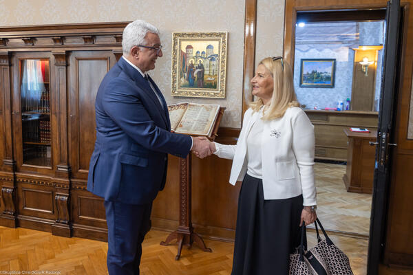 Mandić: Visok stepen političke zrelosti i saglasnosti vlasti i...