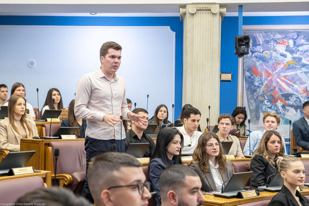 <p>Mandić je ukazao i na nezamjenjivu ulogu parlamenta u procesu pristupanja EU, kako u donošenju zakona, tako i u jačanju demokratske kontrole, transparentnosti i povjerenja građana</p>