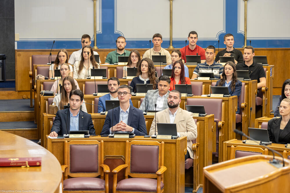 <p>Mandić je ukazao i na nezamjenjivu ulogu parlamenta u procesu pristupanja EU, kako u donošenju zakona, tako i u jačanju demokratske kontrole, transparentnosti i povjerenja građana</p>