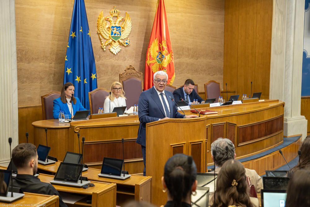 <p>Mandić je ukazao i na nezamjenjivu ulogu parlamenta u procesu pristupanja EU, kako u donošenju zakona, tako i u jačanju demokratske kontrole, transparentnosti i povjerenja građana</p>