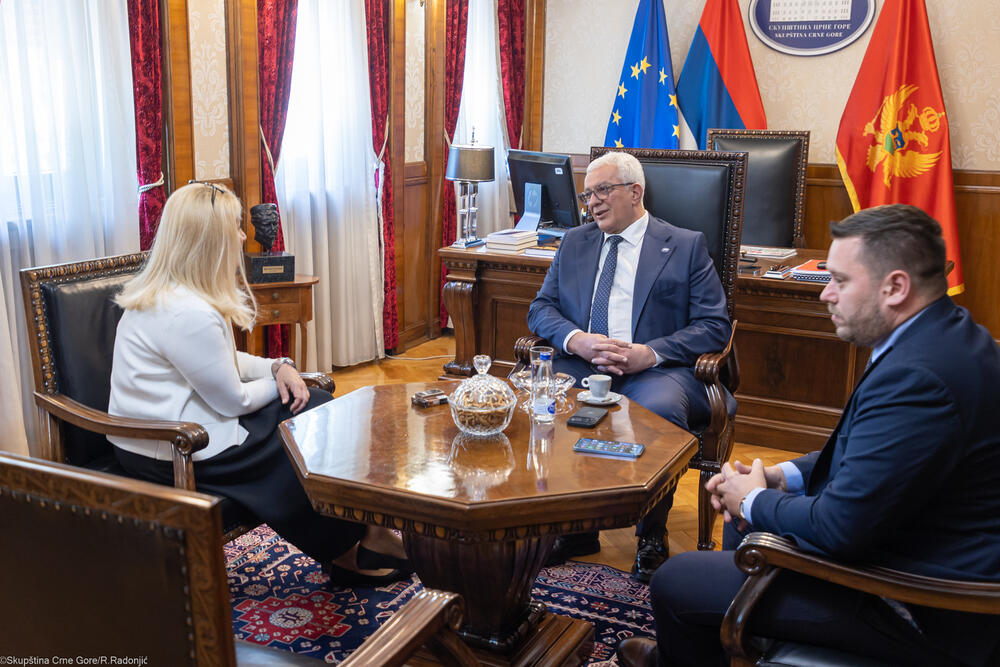 <p>Mandić je ukazao i na nezamjenjivu ulogu parlamenta u procesu pristupanja EU, kako u donošenju zakona, tako i u jačanju demokratske kontrole, transparentnosti i povjerenja građana</p>