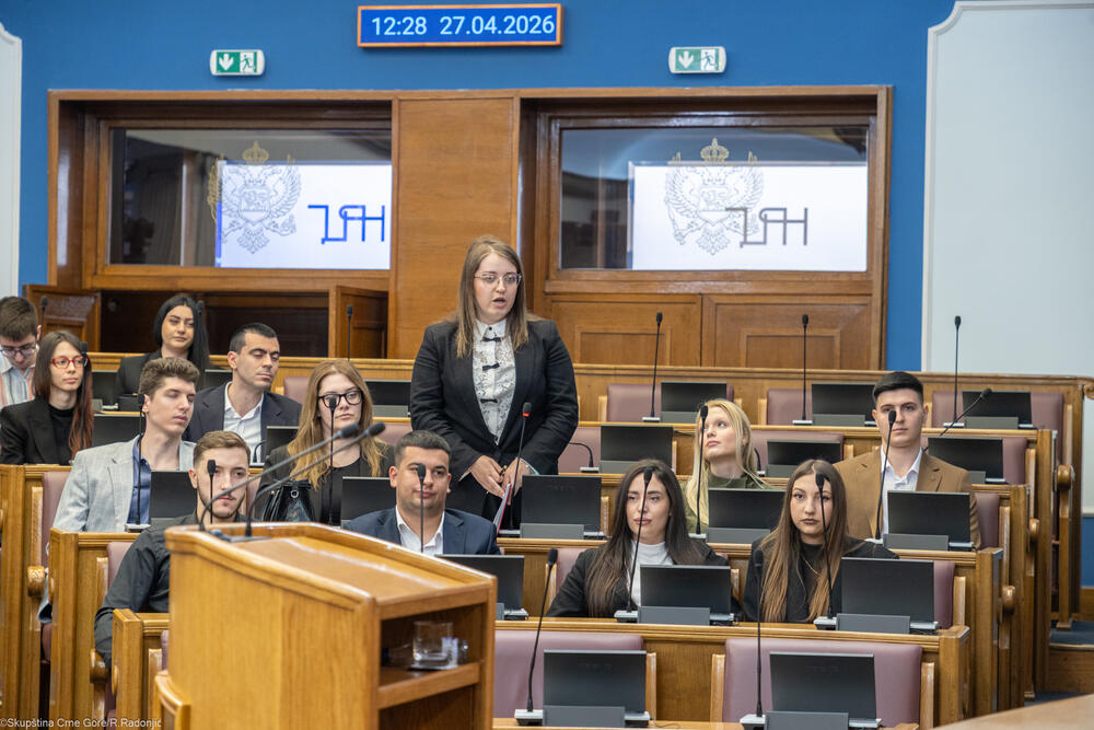 <p>Mandić je ukazao i na nezamjenjivu ulogu parlamenta u procesu pristupanja EU, kako u donošenju zakona, tako i u jačanju demokratske kontrole, transparentnosti i povjerenja građana</p>