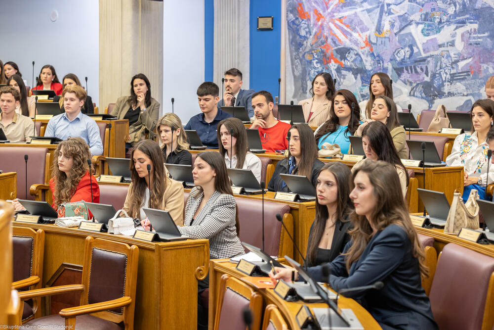 <p>Mandić je ukazao i na nezamjenjivu ulogu parlamenta u procesu pristupanja EU, kako u donošenju zakona, tako i u jačanju demokratske kontrole, transparentnosti i povjerenja građana</p>