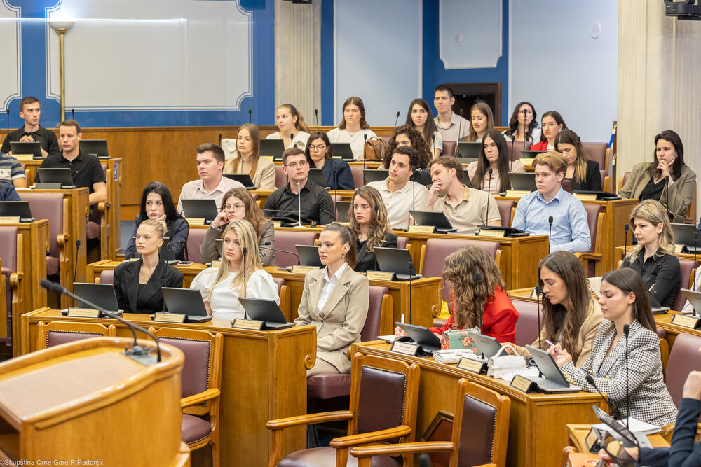 <p>Mandić je ukazao i na nezamjenjivu ulogu parlamenta u procesu pristupanja EU, kako u donošenju zakona, tako i u jačanju demokratske kontrole, transparentnosti i povjerenja građana</p>