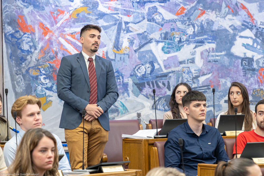 <p>Mandić je ukazao i na nezamjenjivu ulogu parlamenta u procesu pristupanja EU, kako u donošenju zakona, tako i u jačanju demokratske kontrole, transparentnosti i povjerenja građana</p>