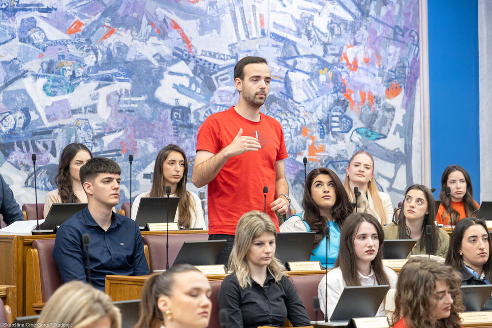 <p>Mandić je ukazao i na nezamjenjivu ulogu parlamenta u procesu pristupanja EU, kako u donošenju zakona, tako i u jačanju demokratske kontrole, transparentnosti i povjerenja građana</p>