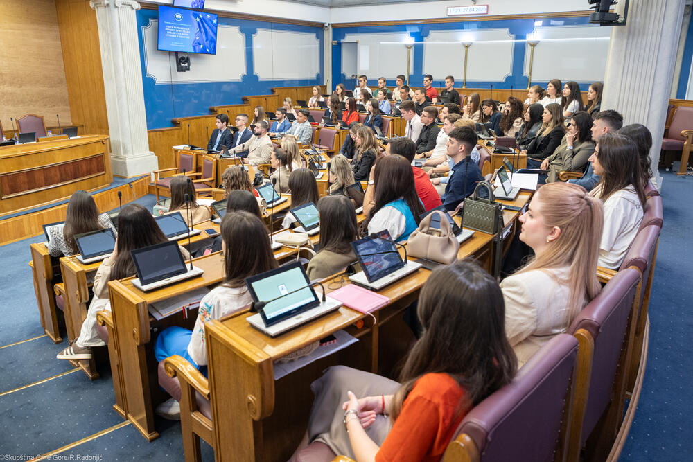<p>Mandić je ukazao i na nezamjenjivu ulogu parlamenta u procesu pristupanja EU, kako u donošenju zakona, tako i u jačanju demokratske kontrole, transparentnosti i povjerenja građana</p>