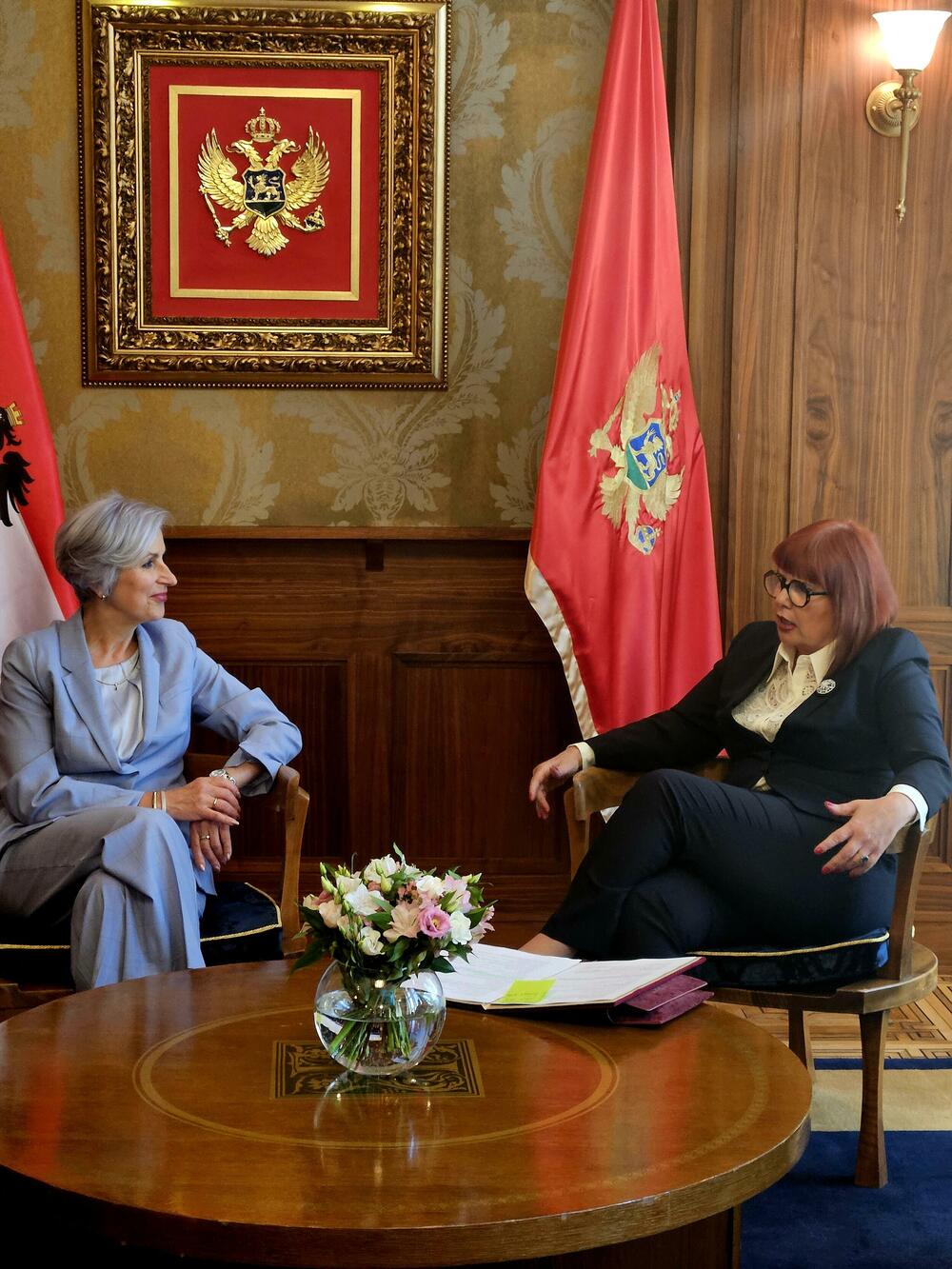 Pavličić s autrijskom ministarkom: Unapređenje vladavine prava i...