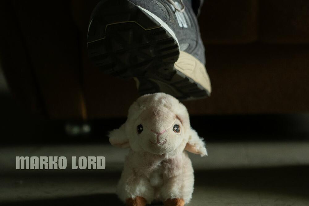 Foto: Ilija Zeković/Zedframed