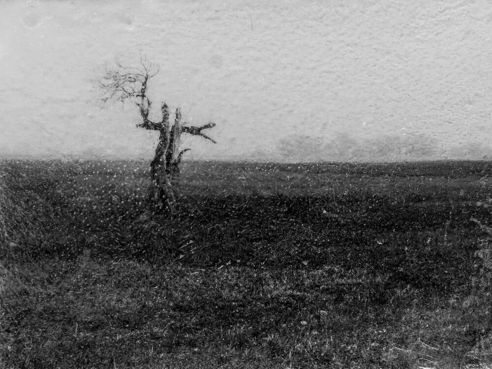 Nostalgija za stabilnošću svijeta