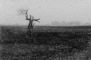 Nostalgija za stabilnošću svijeta