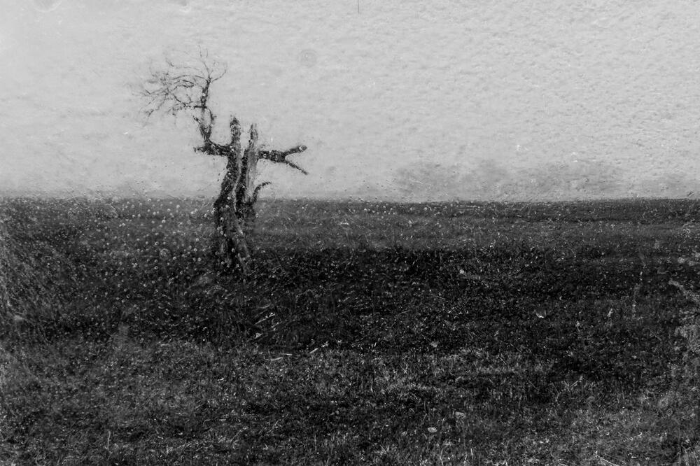 Jedna od fotografija Olge Žolobove