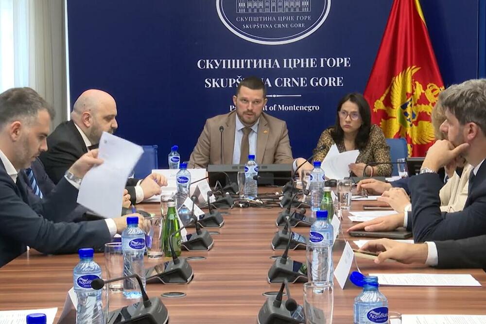 Foto: Screenshot/Youtube/TV Vijesti