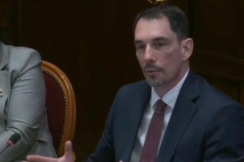 Marković tokom jučerašnje sjednice Odbora za rodnu ravnopravnost, Foto: Printscreen