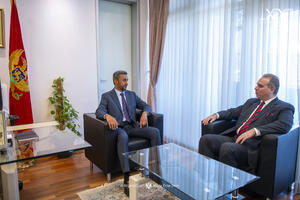 Al Šemeili: UAE zainteresovani za dodatno unapređenje investicija...