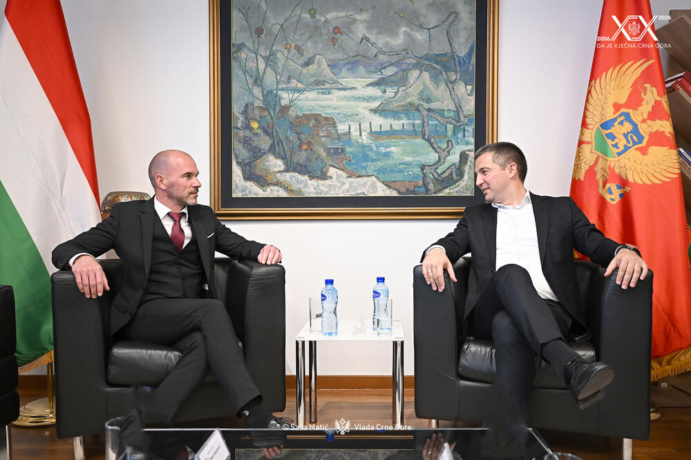 Foto: Kabinet potpredsjednika Vlade za bezbjednost, odbranu, borbu protiv kriminala i unutrašnju politiku