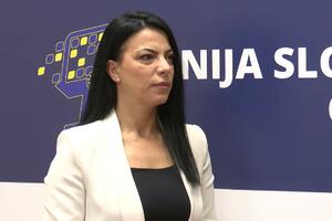 Mihajlović: Jučerašnje obraćanje Vlade potpuno neprihvatljo,...