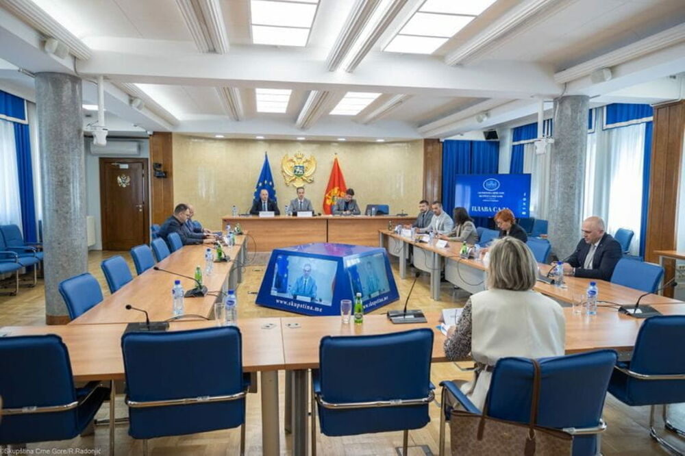 Sa sjednice Odbora, Foto: Skupština Crne Gore