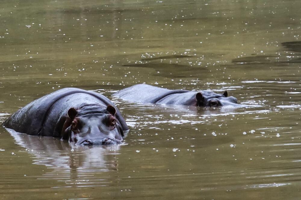 Ilustracija, Foto: Shutterstock
