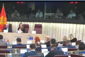 Vajs: Potrebna finalizacija izborne reforme, u svim demokratijama...