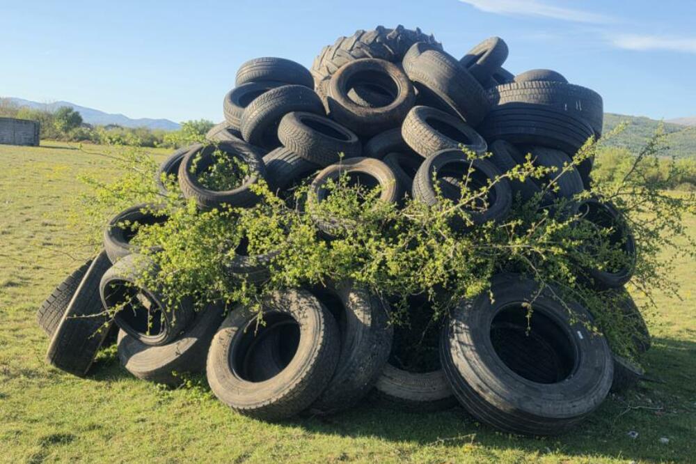 Gume pripremljene za paljenje, Foto: Ekološki pokret Ozon