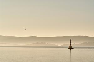 Tivat u znaku slogana &bdquo;More muzike&rdquo;