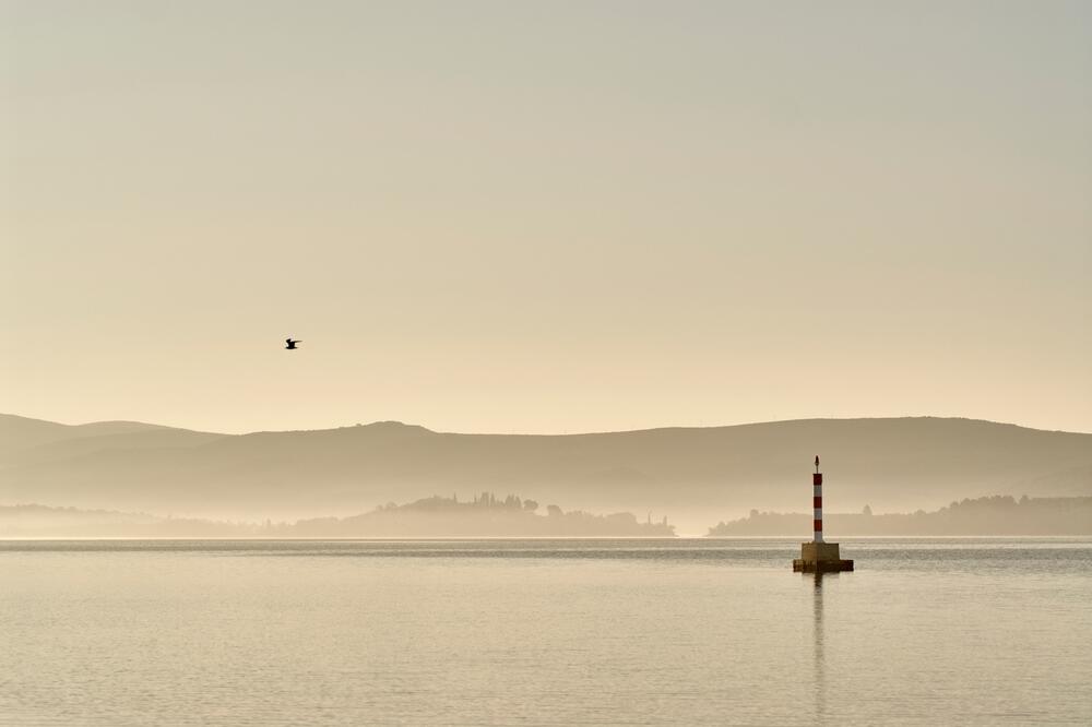 Foto: Duško Miljanić