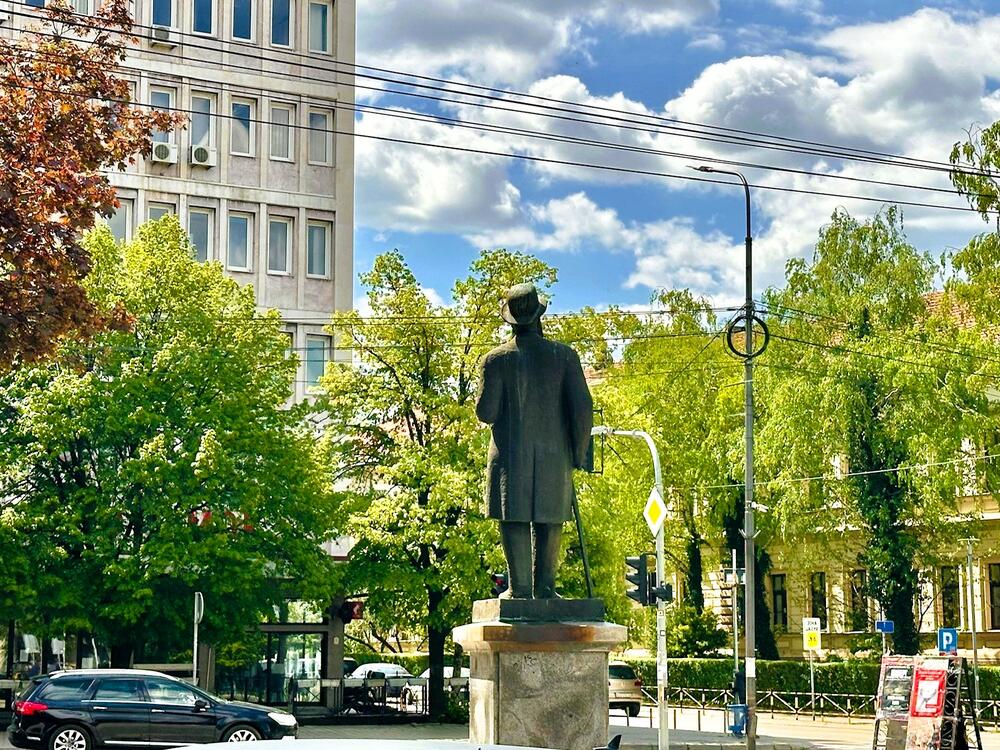 Zaječarski akovi
