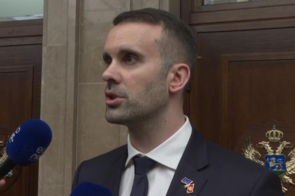 Spajić, Foto: Screenshot/TV Vijesti